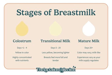 leaking colostrum at 20 weeks|Understanding lactation: Signs your milk is coming in during。